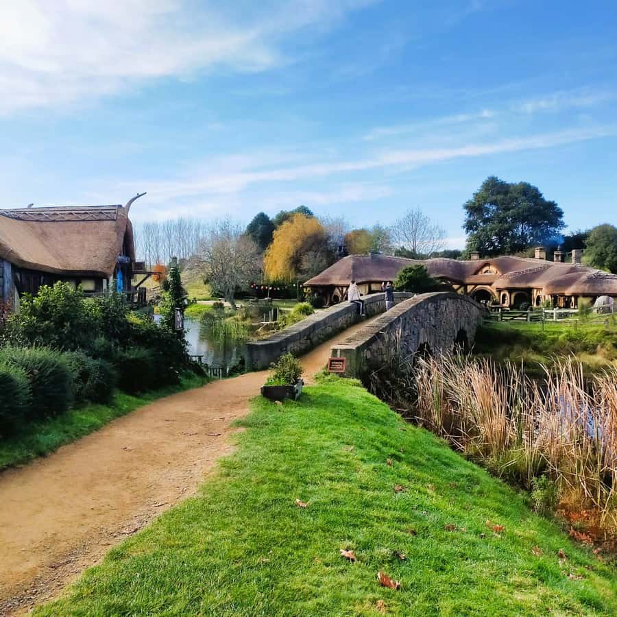 Auckland: Hobbiton & Waitomo Caves Small-Group Tour & Lunch - Who will enjoy this tour most