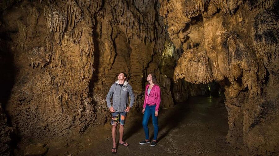 Auckland: One-Way Tour to Rotorua with Waitomo Caves - Why this Auckland to Rotorua transfer works well