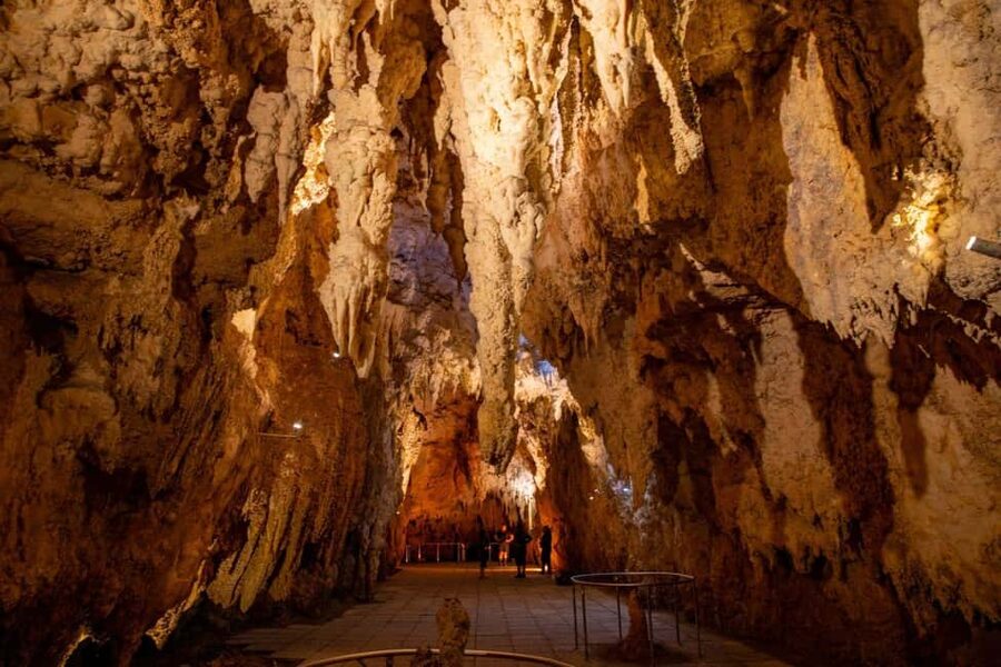 Auckland: One-Way Tour to Rotorua with Waitomo Caves - Continuing to Rotorua after Waitomo