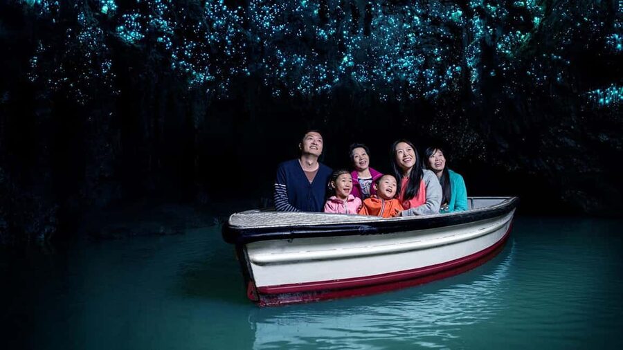 Auckland: One-Way Tour to Rotorua with Waitomo Caves - Timing, pickup, and small details that matter