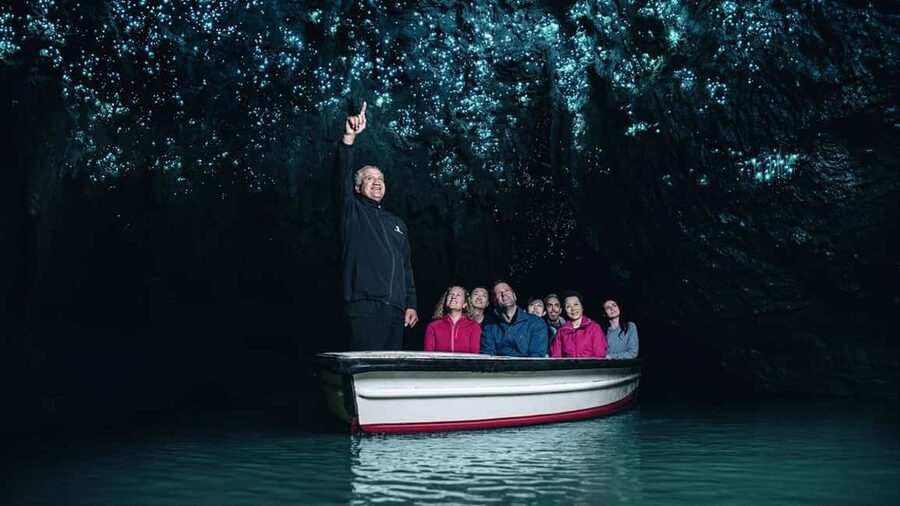 Auckland: One-Way Tour to Rotorua with Waitomo Caves - The road south through Waikato