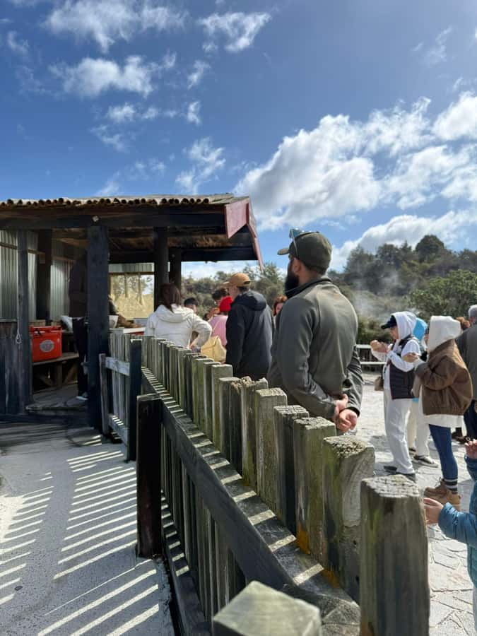 Auckland: Rotorua Māori Village & Waitomo Caves with Lunch - Lunch that keeps the schedule moving