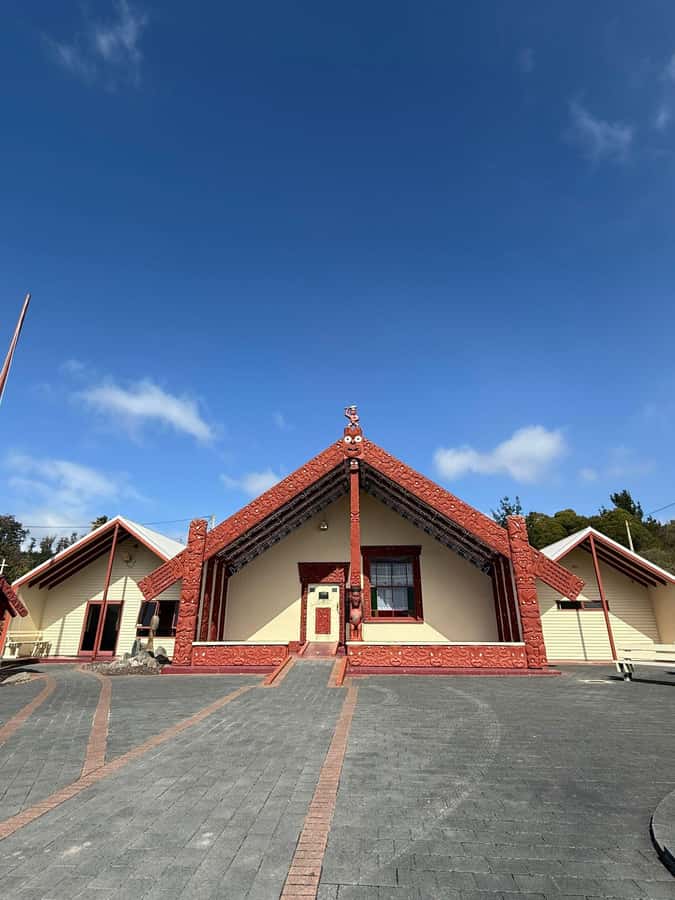 Auckland: Rotorua Māori Village & Waitomo Caves with Lunch - The road from Rotorua to Waitomo