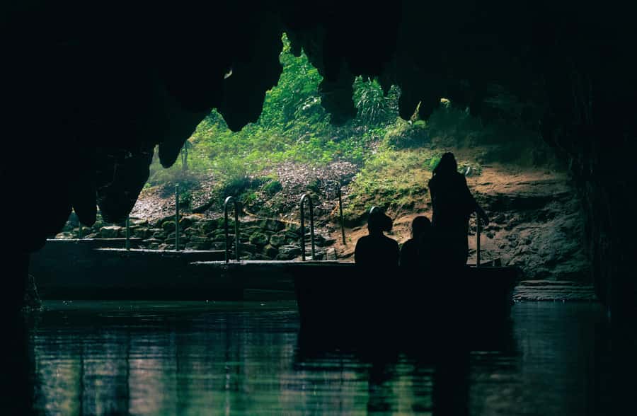 Auckland: Rotorua Māori Village & Waitomo Caves with Lunch - Returning to Auckland after a big day