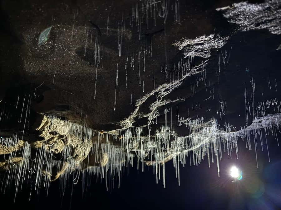 Auckland: Spellbound Glowworm Caves Explorer Tour - Why the long ride can be worth it