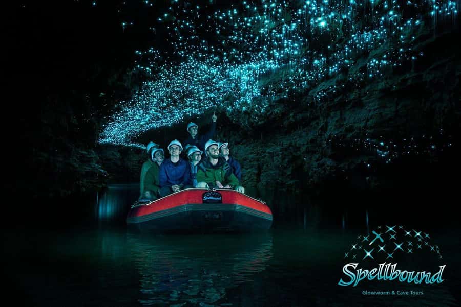 Auckland: Spellbound Glowworm Caves Explorer Tour - The glowworm grotto and silent boat ride