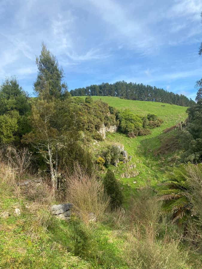 Auckland: Spellbound Glowworm Caves Explorer Tour - Te Ana o Te Atua adds a second mood