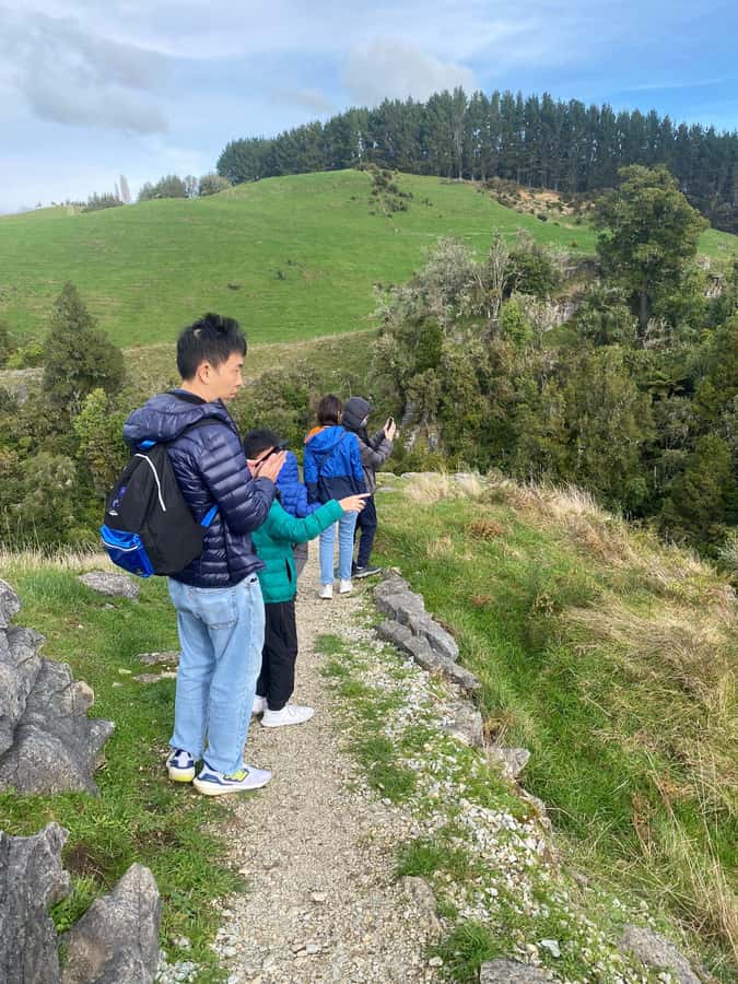 Auckland: Spellbound Glowworm Caves Explorer Tour - The return trip and hotel drop-off