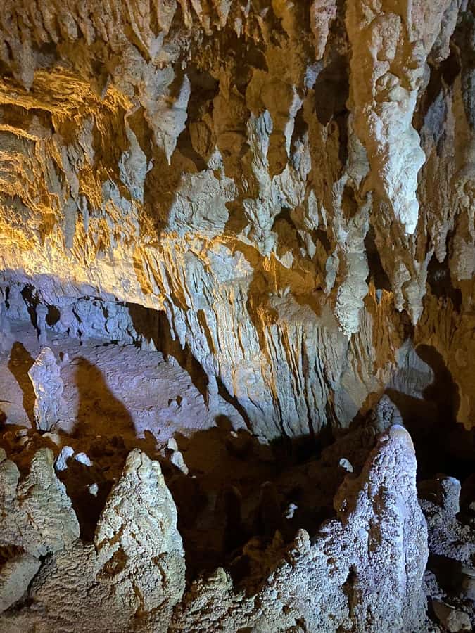 Auckland: Spellbound Glowworm Caves Explorer Tour - Entering the Spellbound caves