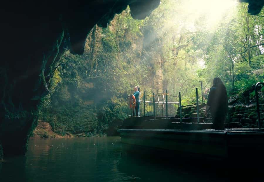 Auckland: Waitomo Caves & Rotorua - Te Puia Small-Group Tour - The Details That Matter Most