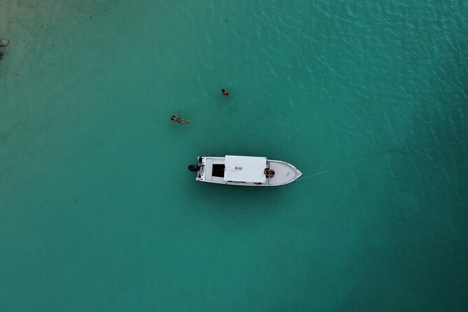 Bacalar Boat Tour and Visit to Cenotes - The guides shape the experience