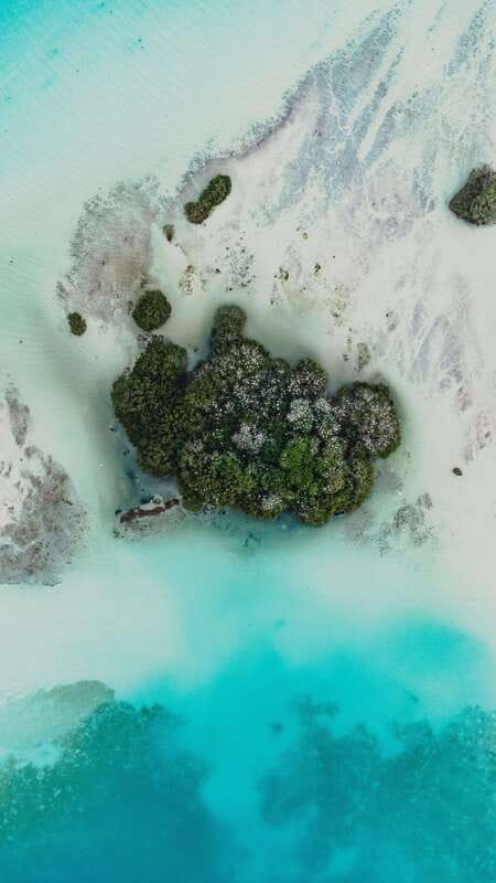 Bacalar & Cenotes: 3 hours kayak rental with snorkeling gear - Key points before you book