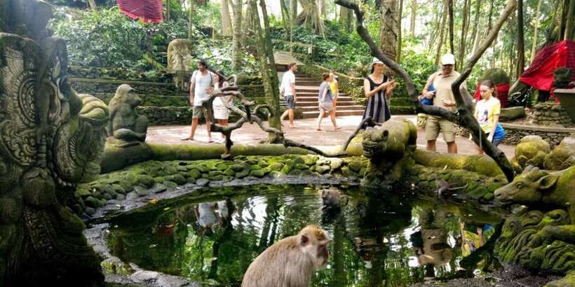Bali: ATV Gorilla Cave, Ubud Monkey Forest, & Waterfall Tour - Final call: book it for variety, not for a slow day