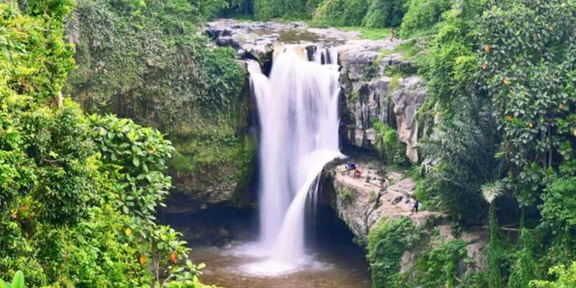 Bali: ATV Gorilla Cave, Ubud Monkey Forest, & Waterfall Tour - Walking through the Sacred Monkey Forest Sanctuary