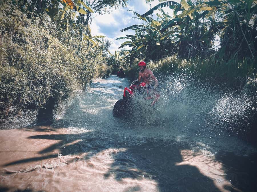 Bali: Ubud Gorilla Cave Track ATV & Waterfall Tour with Meal - Who will enjoy this Bali adventure most