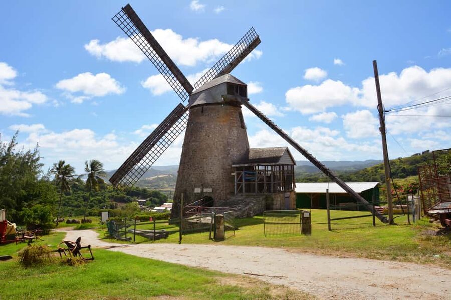 Barbados: Island Tour with Animal Flower Cave and Lunch - Why this tour works for seeing Barbados quickly
