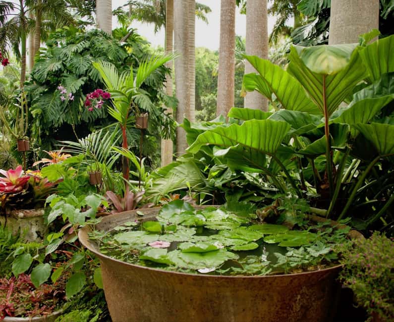 Barbados: Tour of Harrison's Cave & Hunte's Gardens - Why this pairing works so well