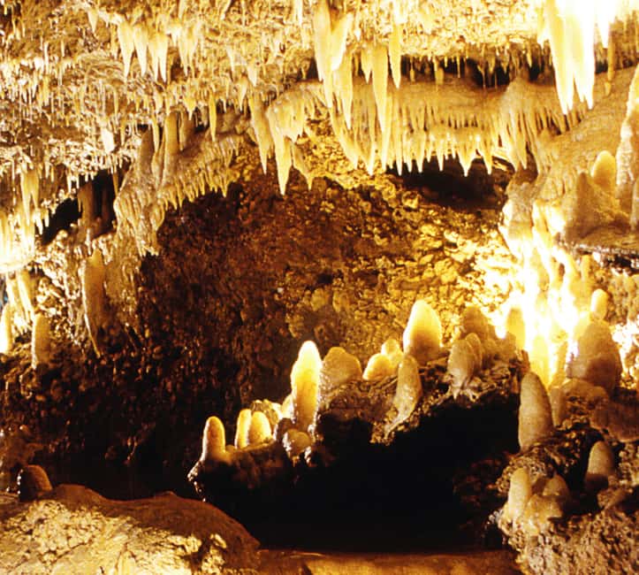 Barbados: Tour of Harrison's Cave & Hunte's Gardens - Transport, pickup, and the five-hour schedule