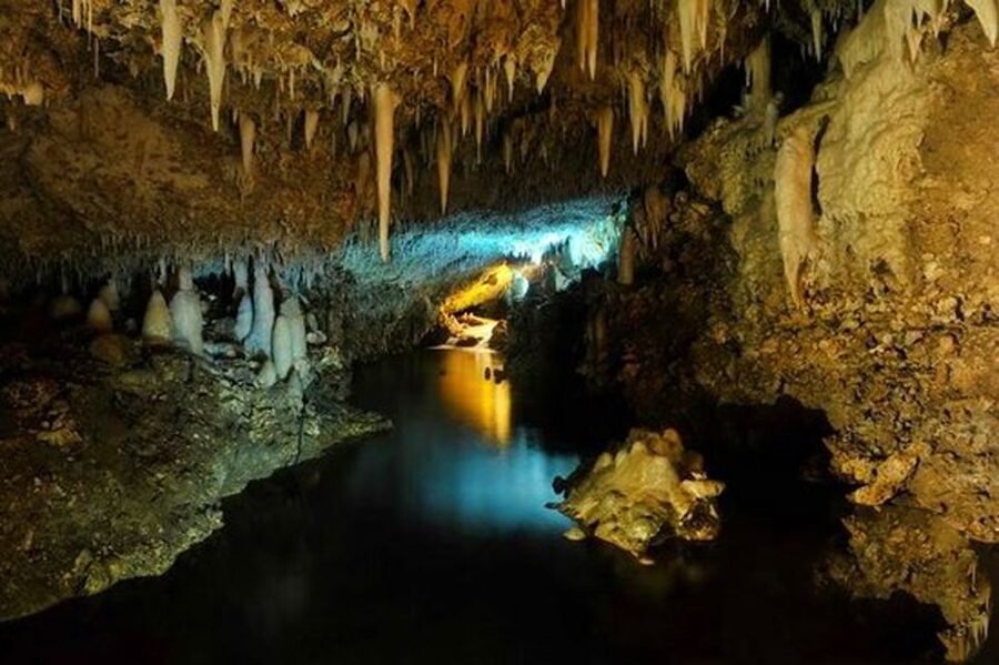 Barbados: Tour of Harrison's Cave & Hunte's Gardens - Should you book Harrison’s Cave and Hunte’s Gardens?