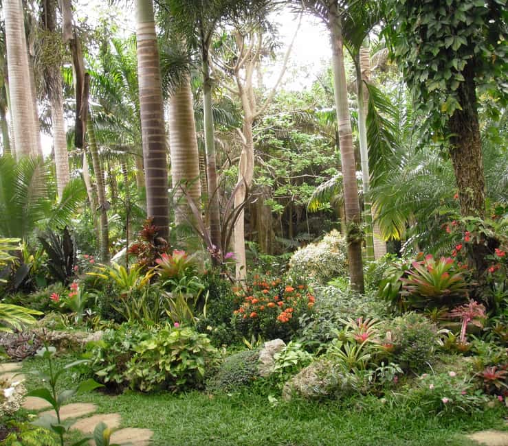 Barbados: Tour of Harrison's Cave & Hunte's Gardens - Harrison’s Cave by tram, not on foot