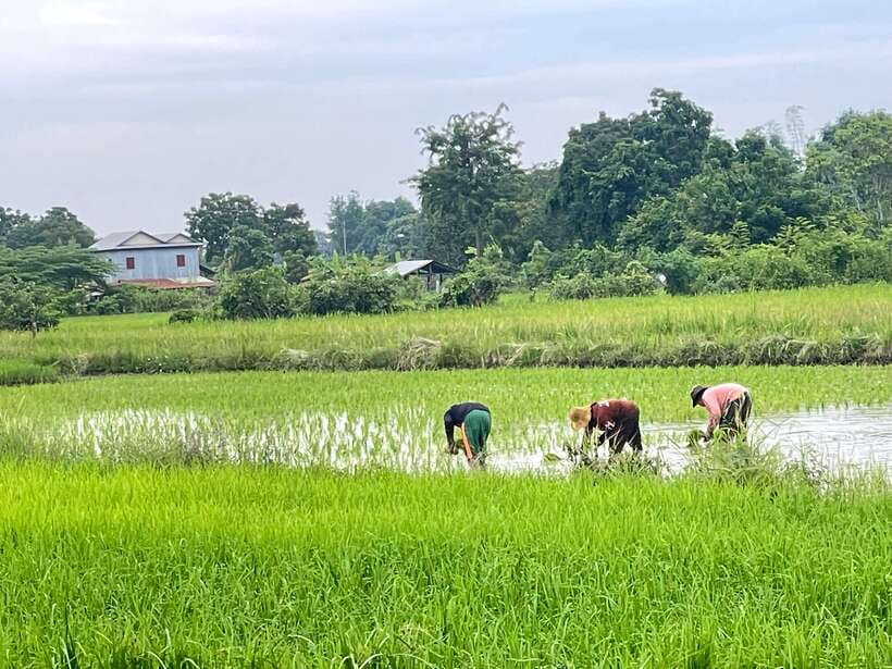 Battambang: Bamboo Train, Bat Cave and Killing Cave Tour - Who should book this Battambang tour?