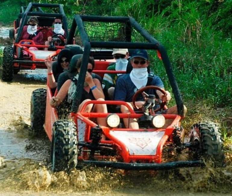 Bayahibe Jungle Buggy Expedition - Sugar cane and the Dominican farm visit
