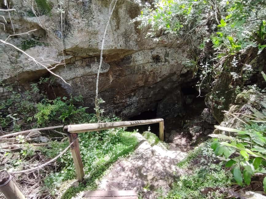 Bayahibe: National Park Jungle Walk & Snorkeling in Cenotes - What to pack for a comfortable outing