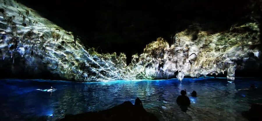 Bayahibe: National Park Jungle Walk & Snorkeling in Cenotes - Walking through Cotubanamá National Park