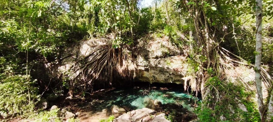 Bayahibe: National Park Jungle Walk & Snorkeling in Cenotes - Snorkeling in 25°C spring water