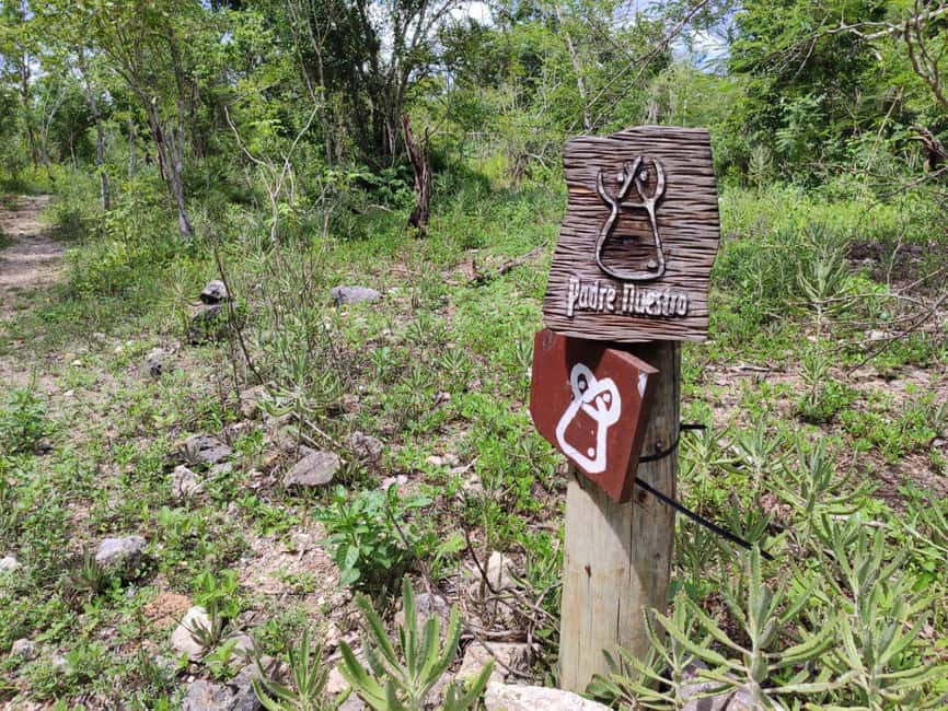 Bayahibe: National Park Jungle Walk & Snorkeling in Cenotes - The return walk and post-tour snack