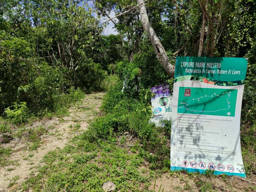 Bayahibe: National Park Jungle Walk & Snorkeling in Cenotes - What the $55 price delivers