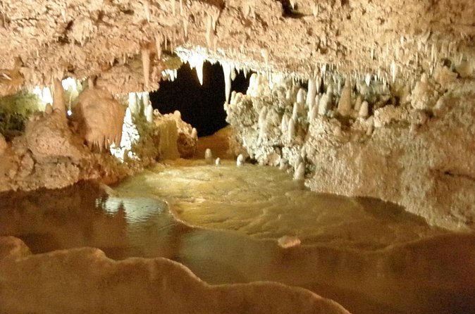Beautiful Barbados: Harrisons Cave & Beach Day Tour - Timing, group size, and who should book