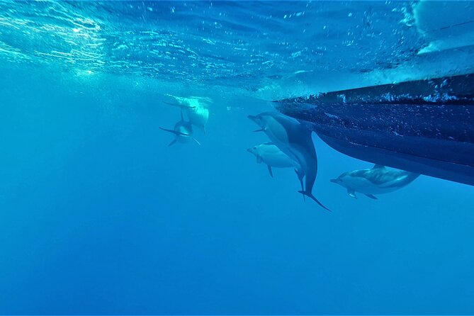 Benagil Caves Visit with Dolphins Watching from Albufeira - The Alfanzina tunnel and the lighthouse cave