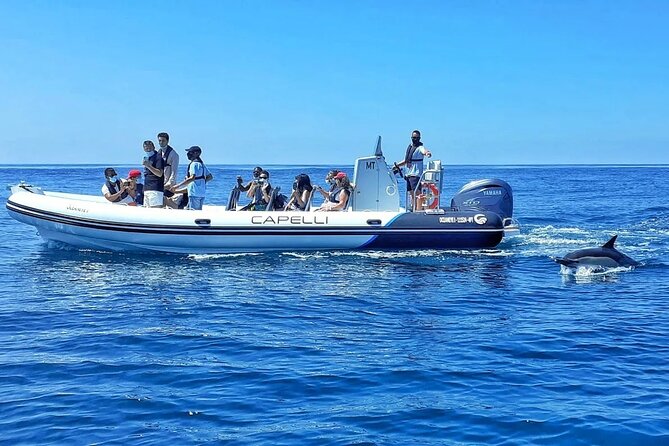 Benagil Caves Visit with Dolphins Watching from Albufeira - Senhora da Rocha and the chapel above the sea