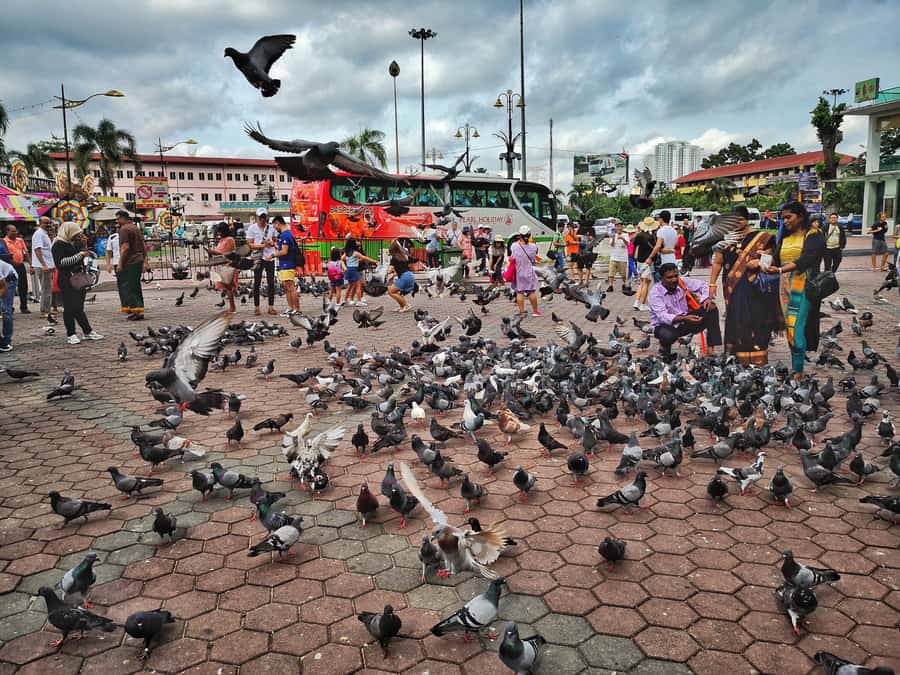 Best of Kuala Lumpur Tour with KL Tower & Batu Caves - What the $148 price really covers