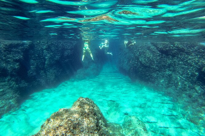 Blue Cave, Green Cave & Lopud Beach small group Speed boat Tour - Šunj Beach Gives You Time to Slow Down