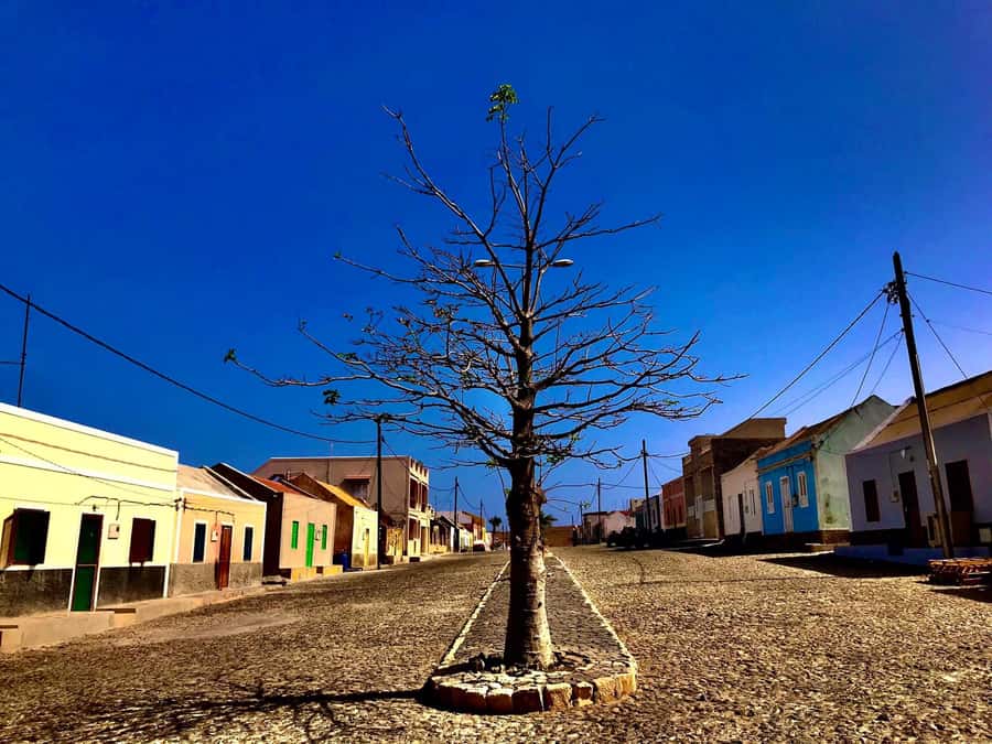 Boa Vista: Santa Monica, Dunes, Caves and Village 4x4 Tour - Guides who add real value