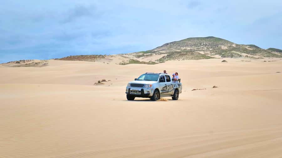 Boa Vista: Shark, Turtles, Cave, Sandboarding & Tasting Tour - Turtle Bay and Shark Bay
