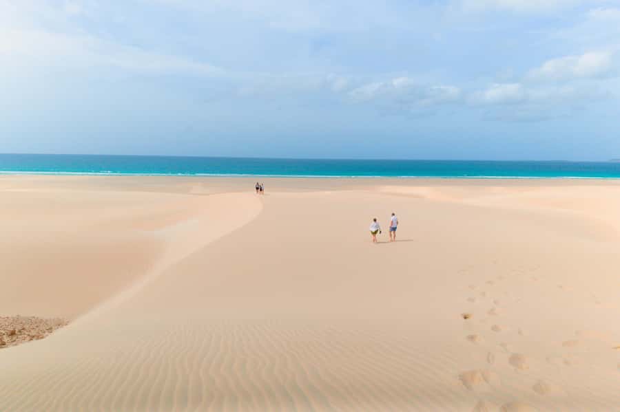 Boa Vista: Shark, Turtles, Cave, Sandboarding & Tasting Tour - Santa Monica Beach, the morning’s big view