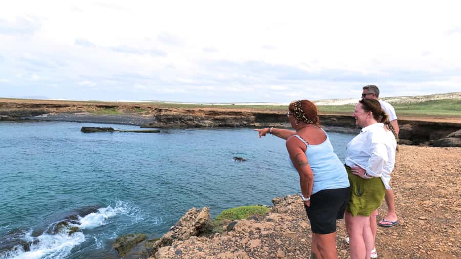 Boa Vista: Shark, Turtles, Cave, Sandboarding & Tasting Tour - The guides are the strongest part of the experience