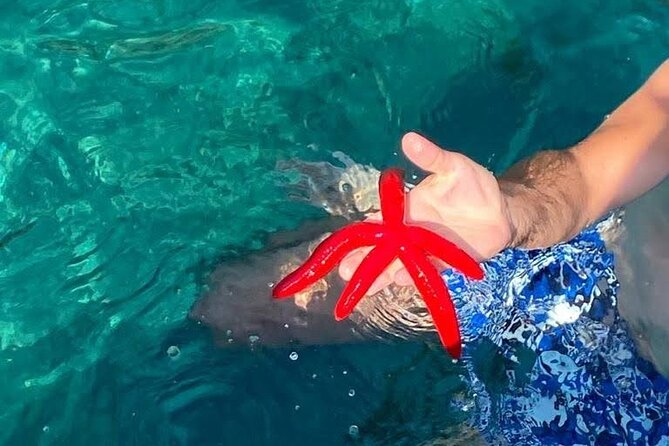 Boat tour Giardini Naxos Taormina Isola Bella Blue Grotto - Who will enjoy this two-hour cruise