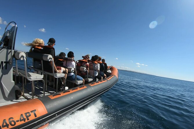 Boat trip to the caves of Benagil - Who will enjoy this trip most