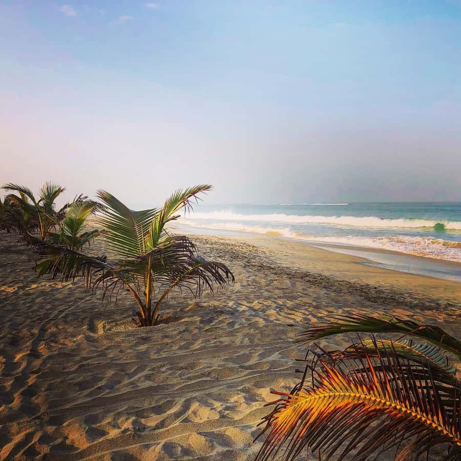 Boavista: Santa Monica beach, Varandinha cave, Sand dunes - Santa Monica Beach: The Main Event