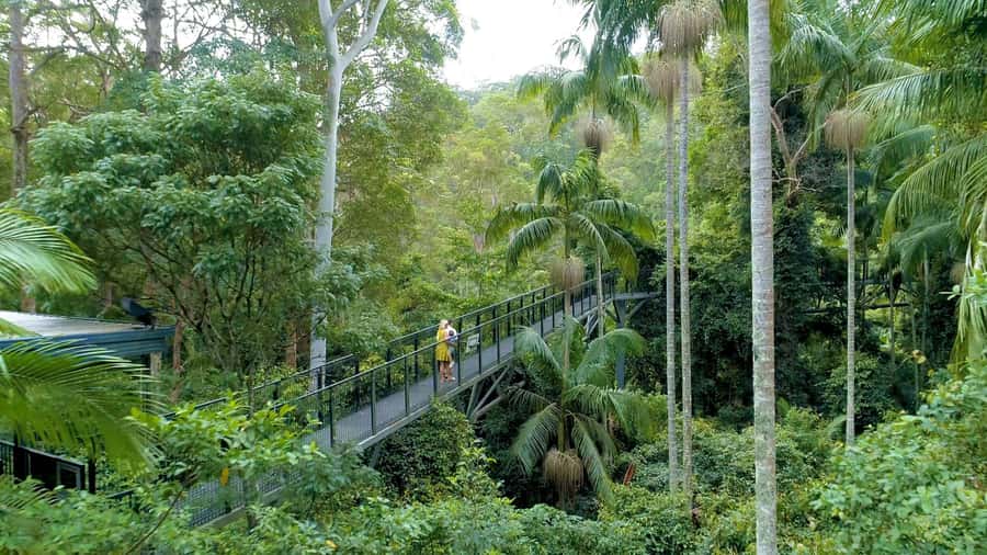 Brisbane: Daytime Glow Worm Caves Hop-on Hop-off Bus Tour - Quick points to know before booking
