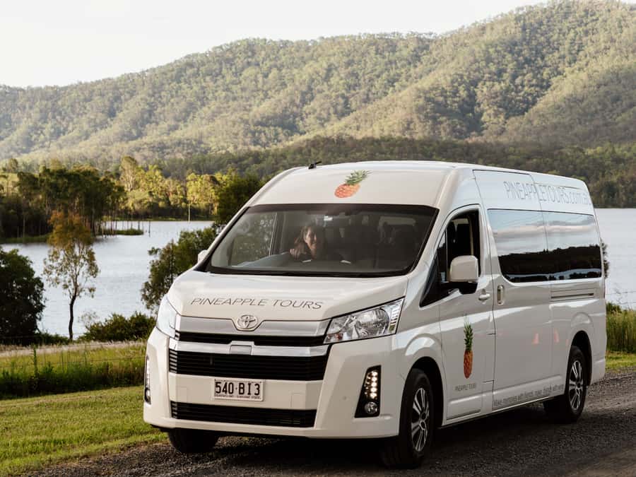 Brisbane: Daytime Glow Worm Caves Hop-on Hop-off Bus Tour - Why the daytime cave visit is useful