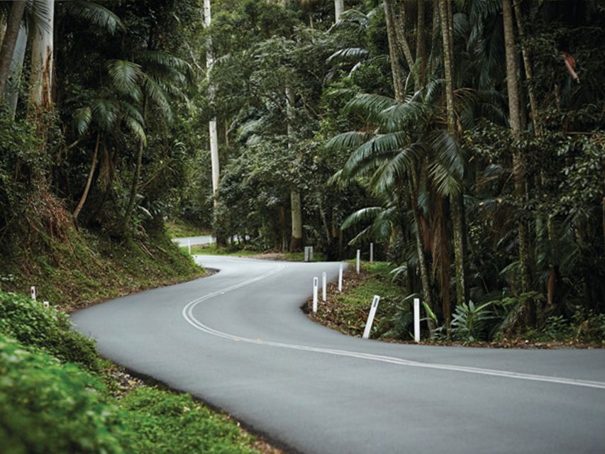 Brisbane: Daytime Glow Worm Caves Hop-on Hop-off Bus Tour - Should you book it?