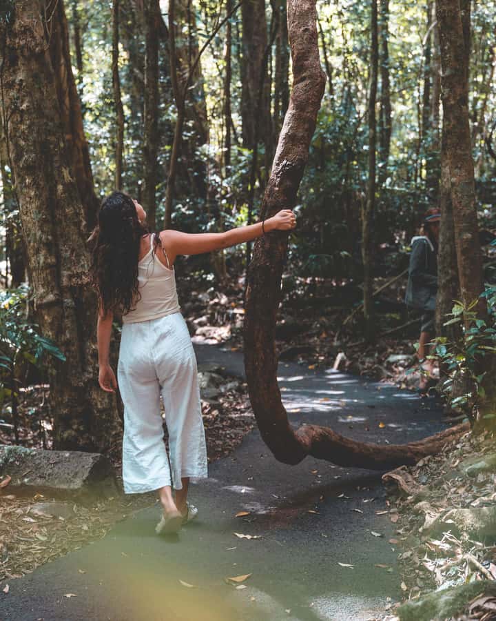 Brisbane: Rainforests, Waterfalls and Glow Worm Cave Tour - Natural Bridge and the waterfall-carved rock arch