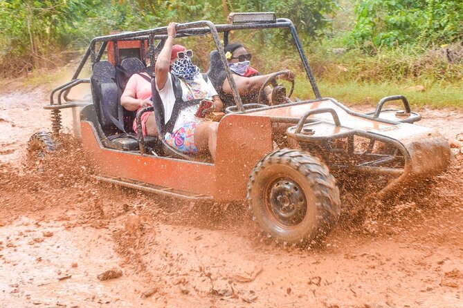 Buggy Excursion to Macau Beach and Natural Cave - The Dominican farm: coffee, cocoa, and local products