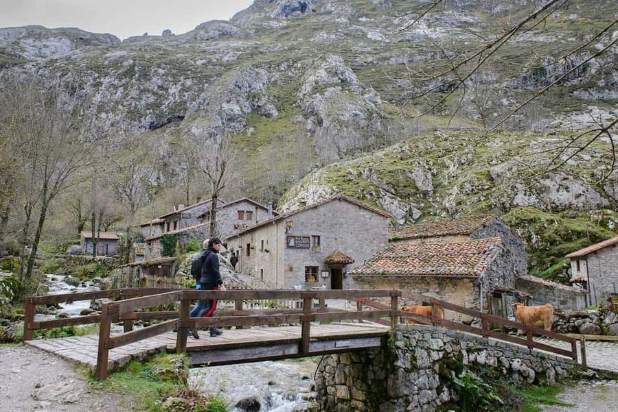 Bulnes: Excursion with funicular and Cabrales cheese cave in the Picos de Europa - Five things to know before you book
