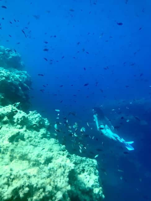 Cala Codolar: Sea & Caves Kayaking Tour with Snorkeling - What the snorkeling is really like